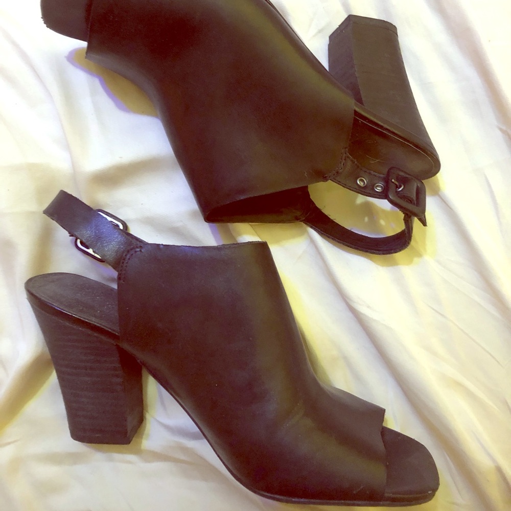 Franco Sarto artists collection series